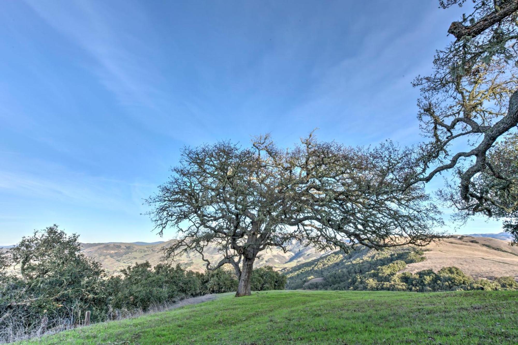 Lx37 Weathertop Ranch In Carmel Wine Country Carmel Valley Dış mekan fotoğraf